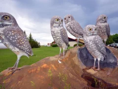 Fenteer Owl Statue
