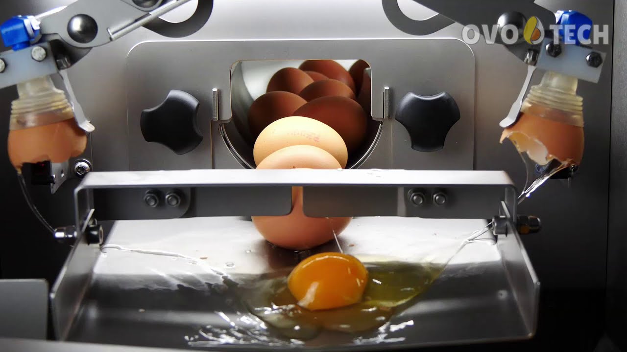 Egg White Separator Machine